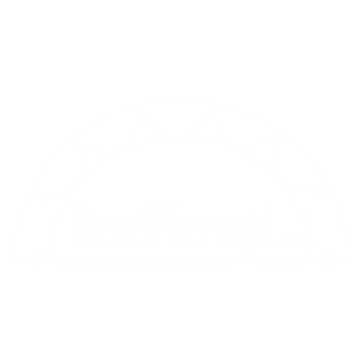 Best Pierogi LOGO.png