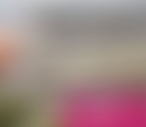 أول طبيب كويتي في مستشفى فرنسي