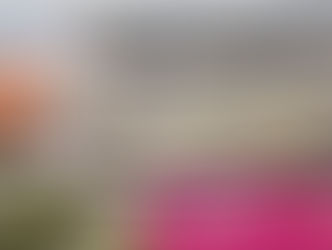 أول طبيب كويتي في مستشفى فرنسي