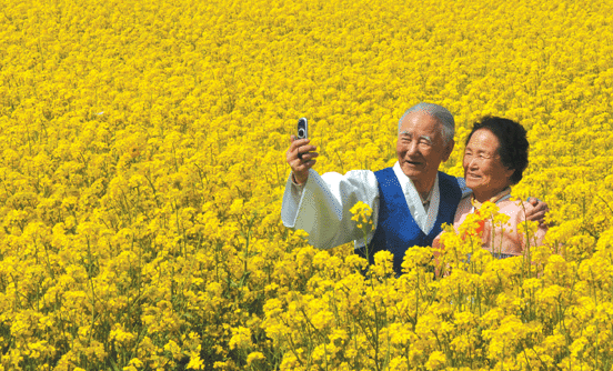 Thumbnail: [매일단독]_당일_삼척 유채꽃 축제