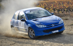 Rallye Terre de Vaucluse 2017