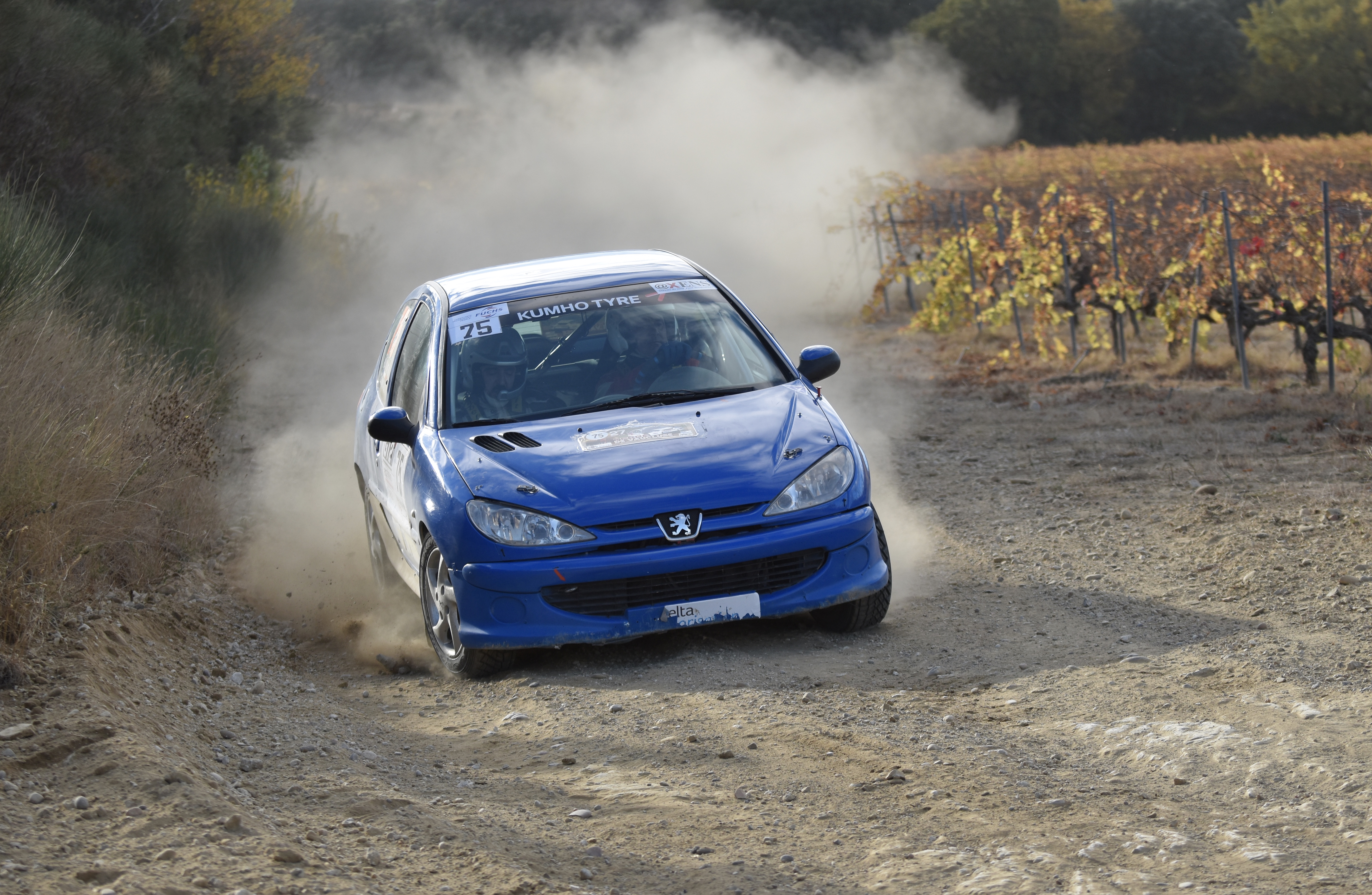 Rallye Terre de Vaucluse 2017