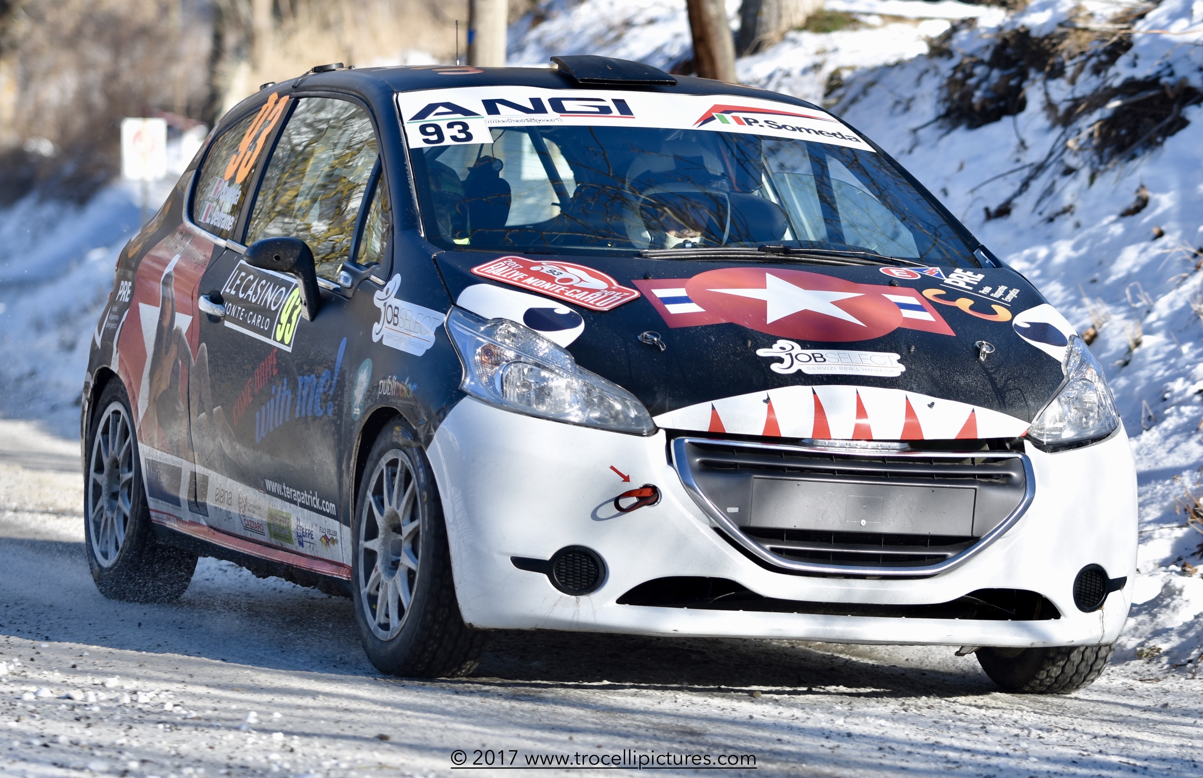 Rallye Monté Carlo 2017