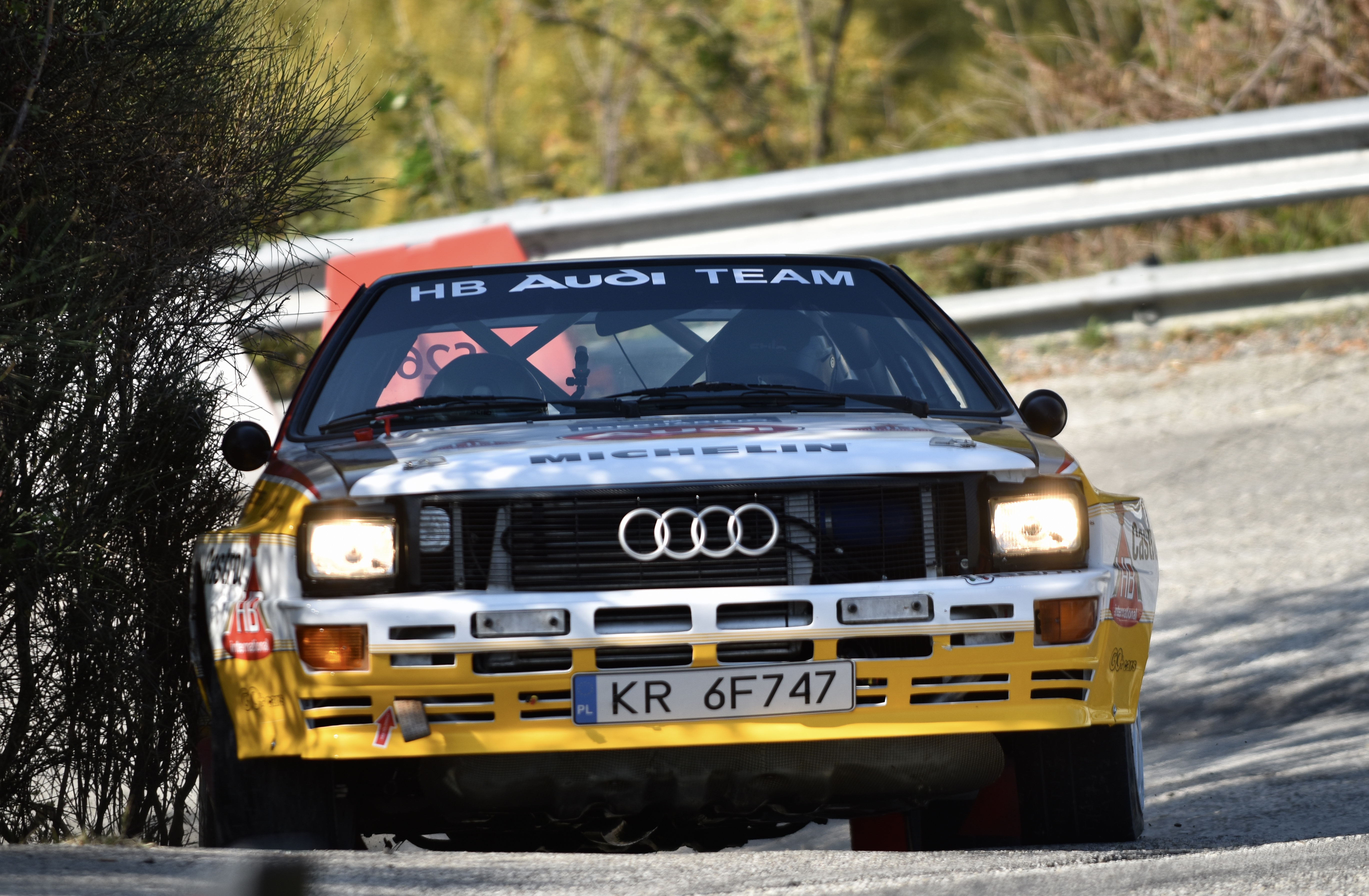 Rallylegend 2017