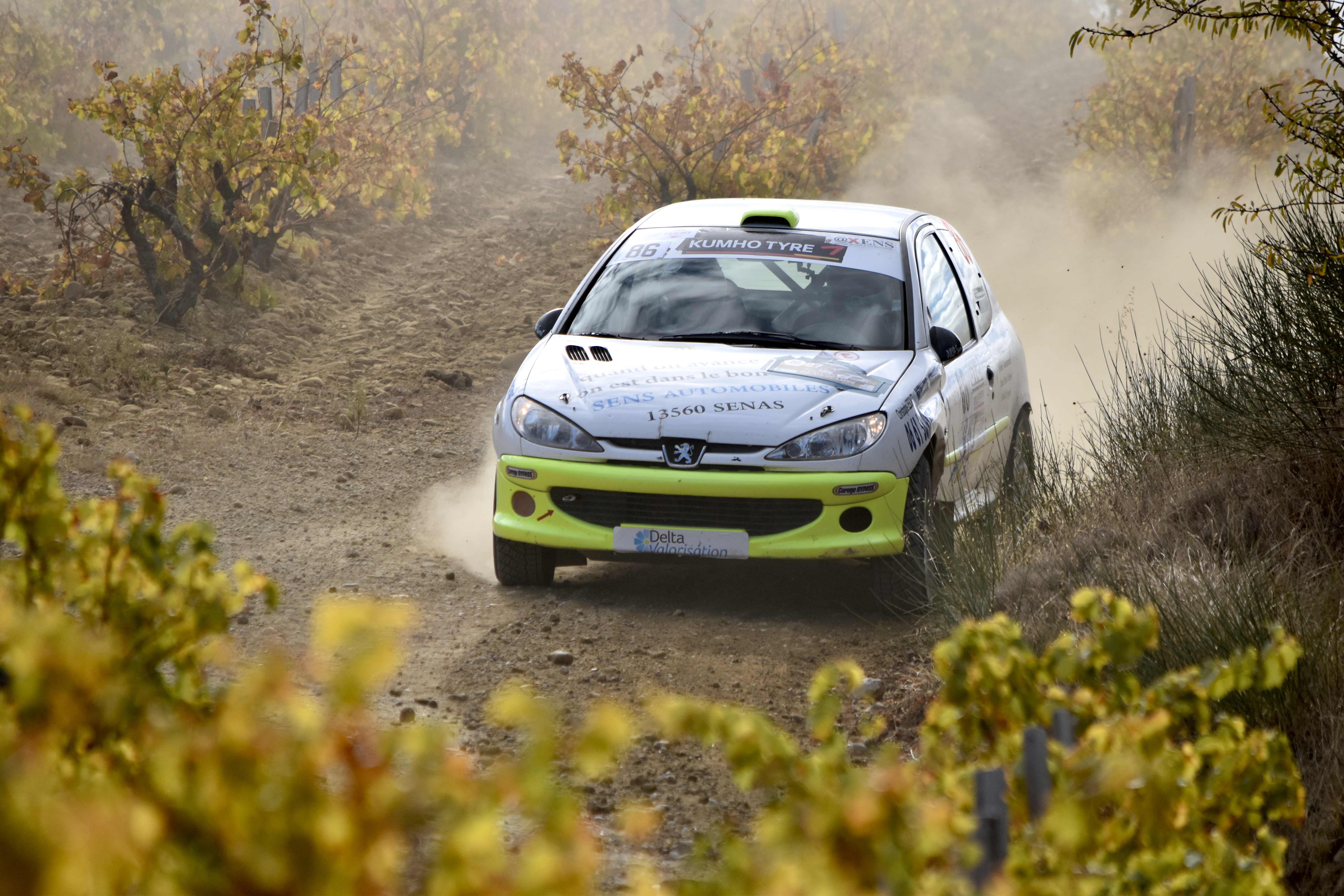 Rallye Terre de Vaucluse 2017