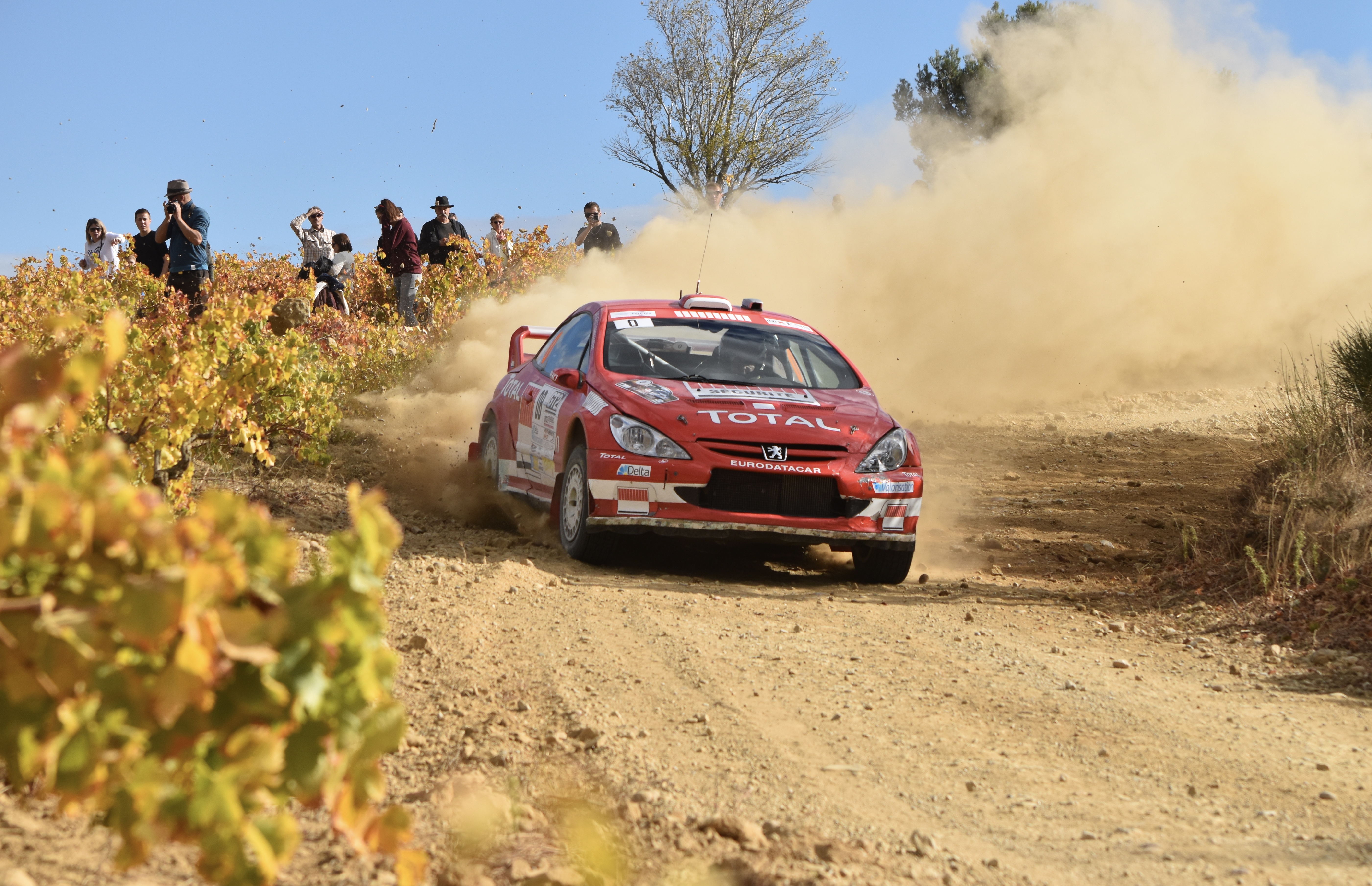 Rallye Terre de Vaucluse 2017