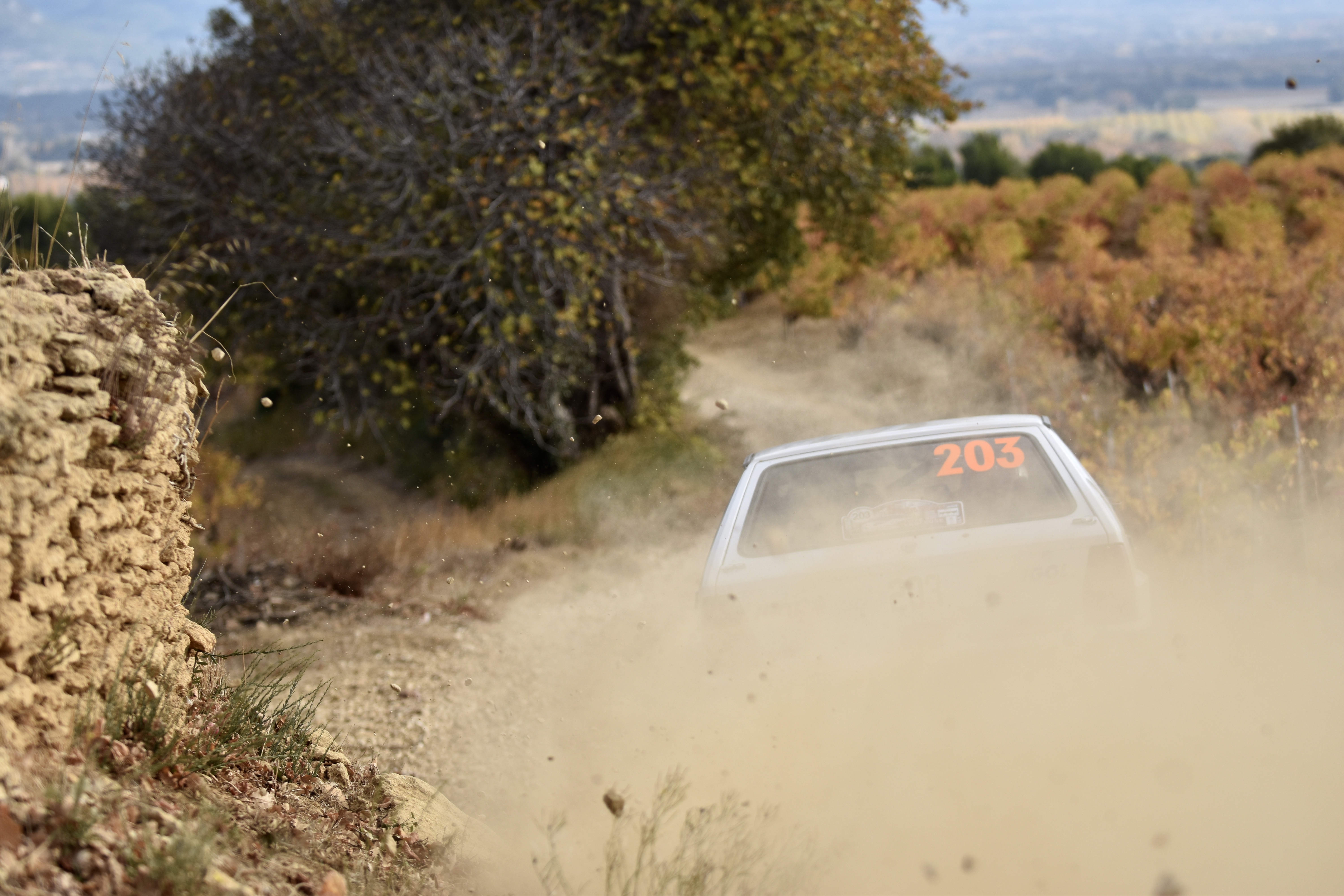 Rallye Terre de Vaucluse 2017