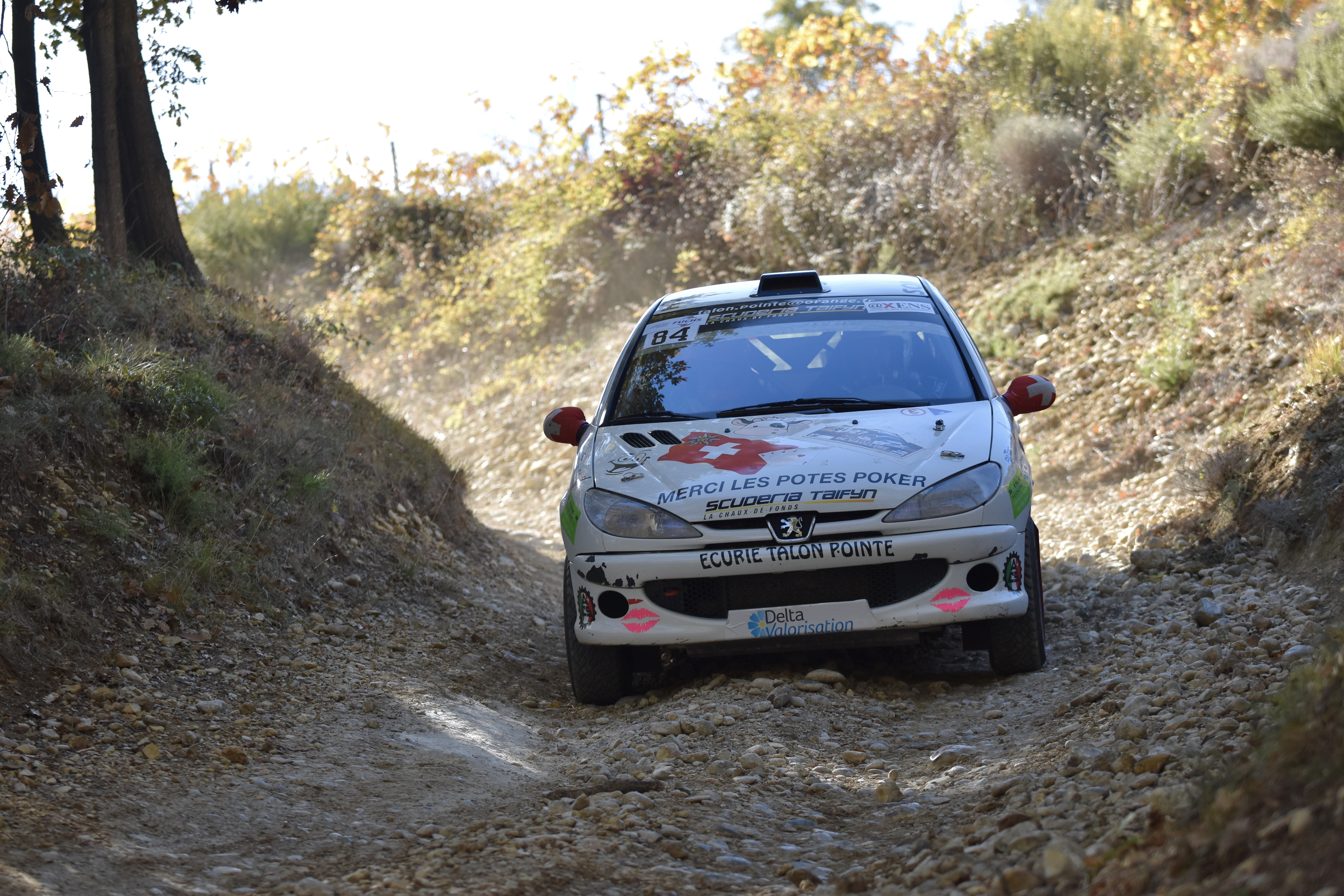 Rallye Terre de Vaucluse 2017