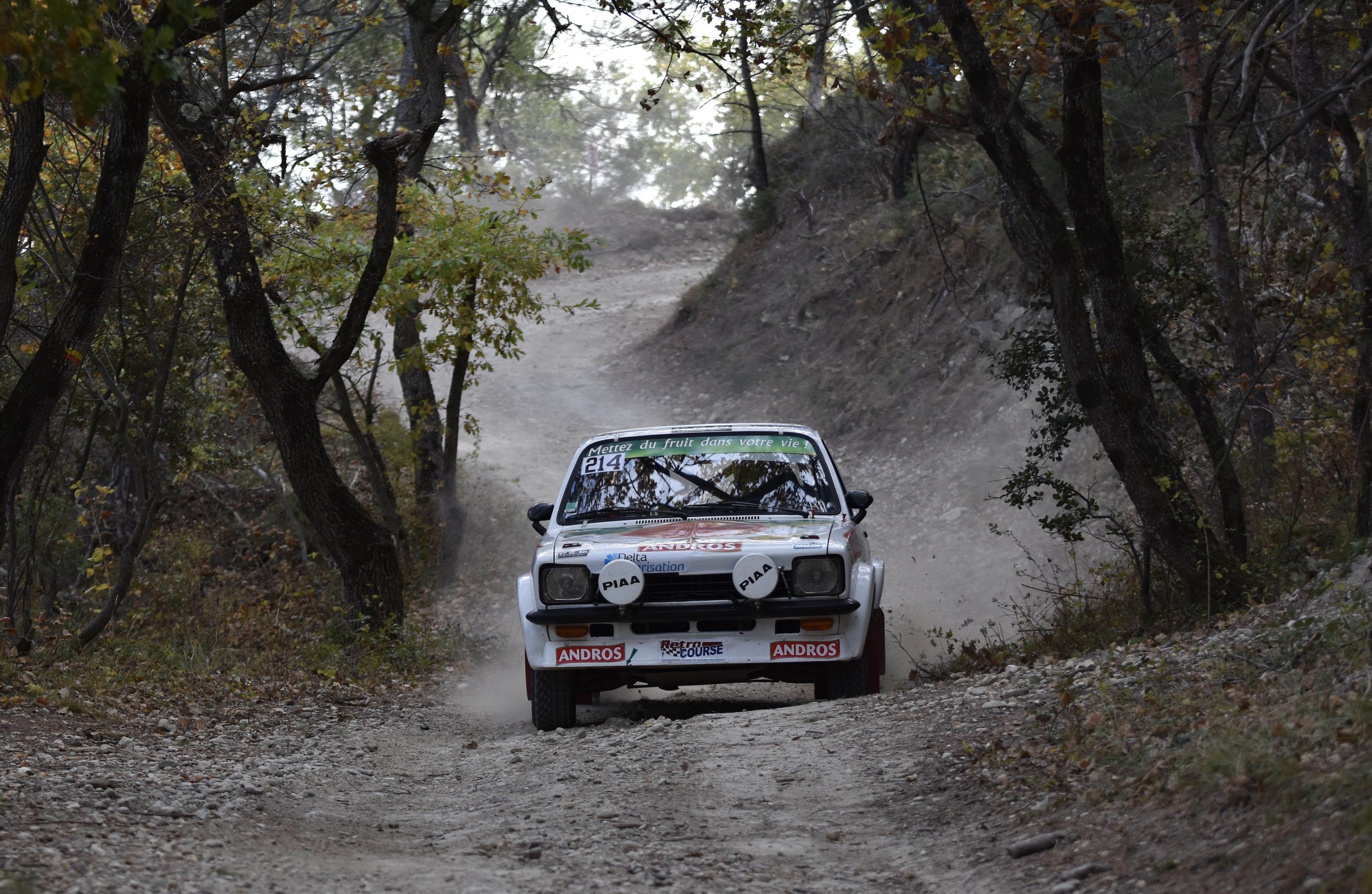 Rallye Terre de Vaucluse 2017