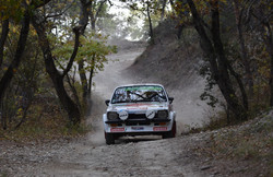 Rallye Terre de Vaucluse 2017