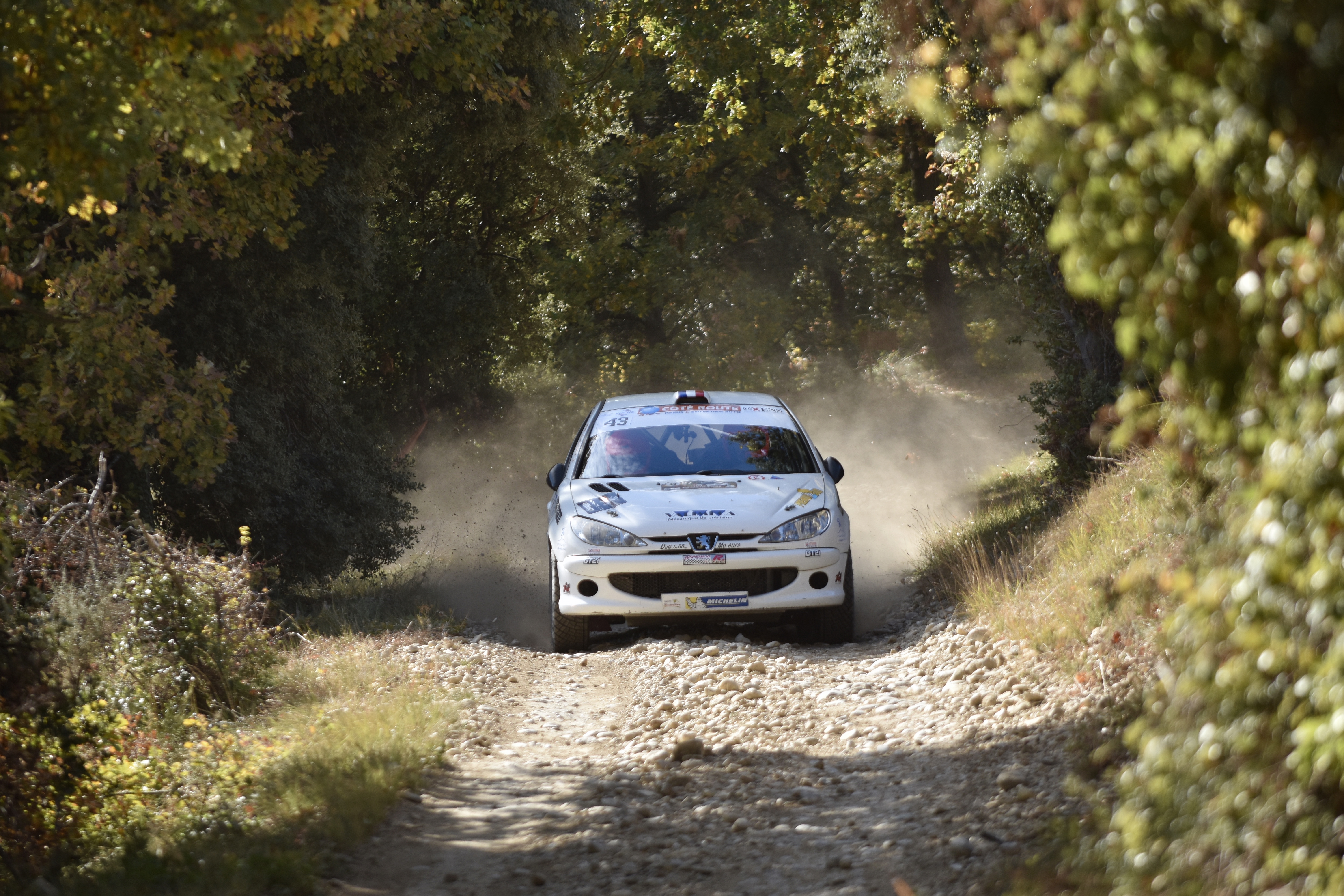 Rallye Terre de Vaucluse 2017