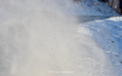 Rallye Monté Carlo 2017