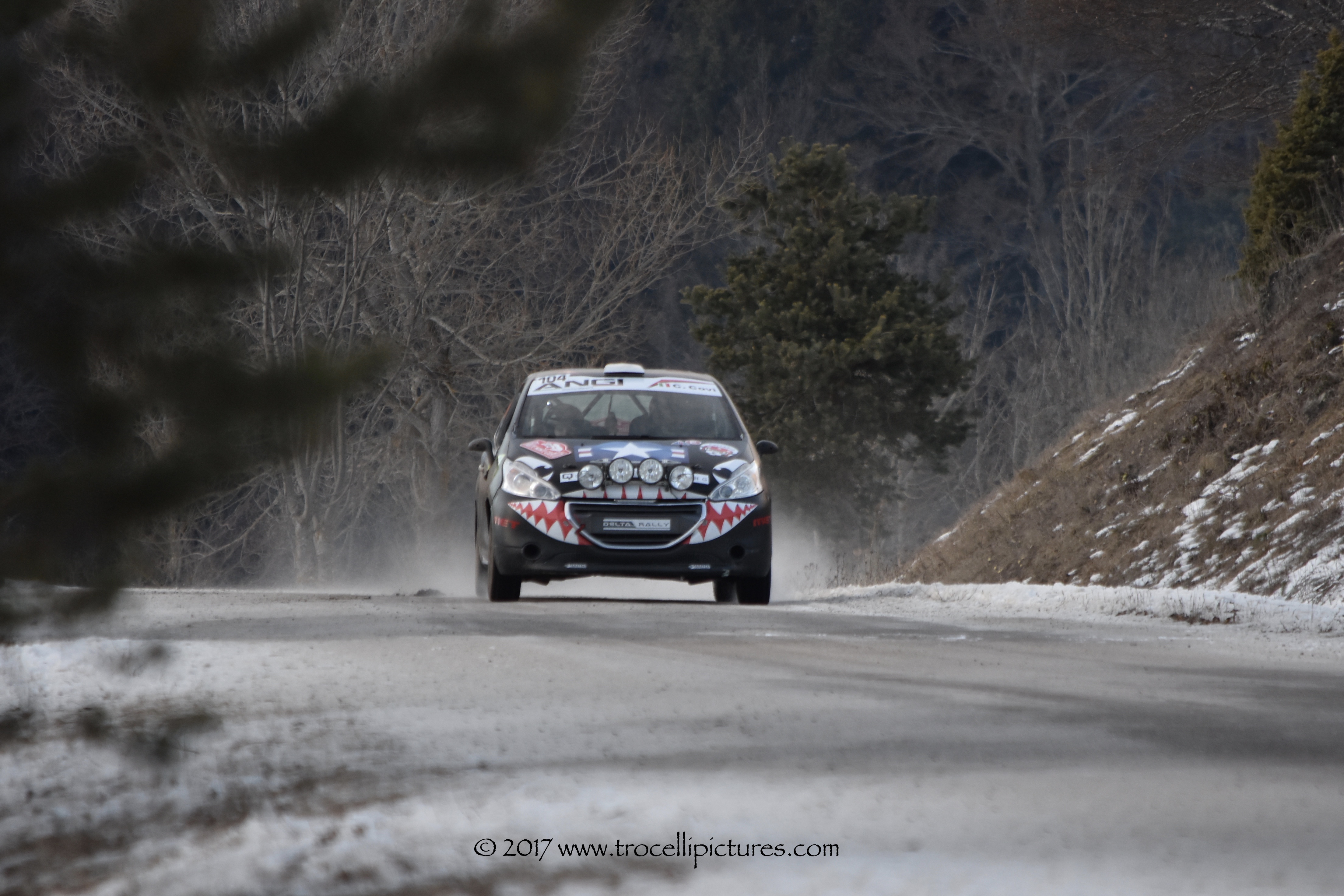 Rallye Monté Carlo 2017