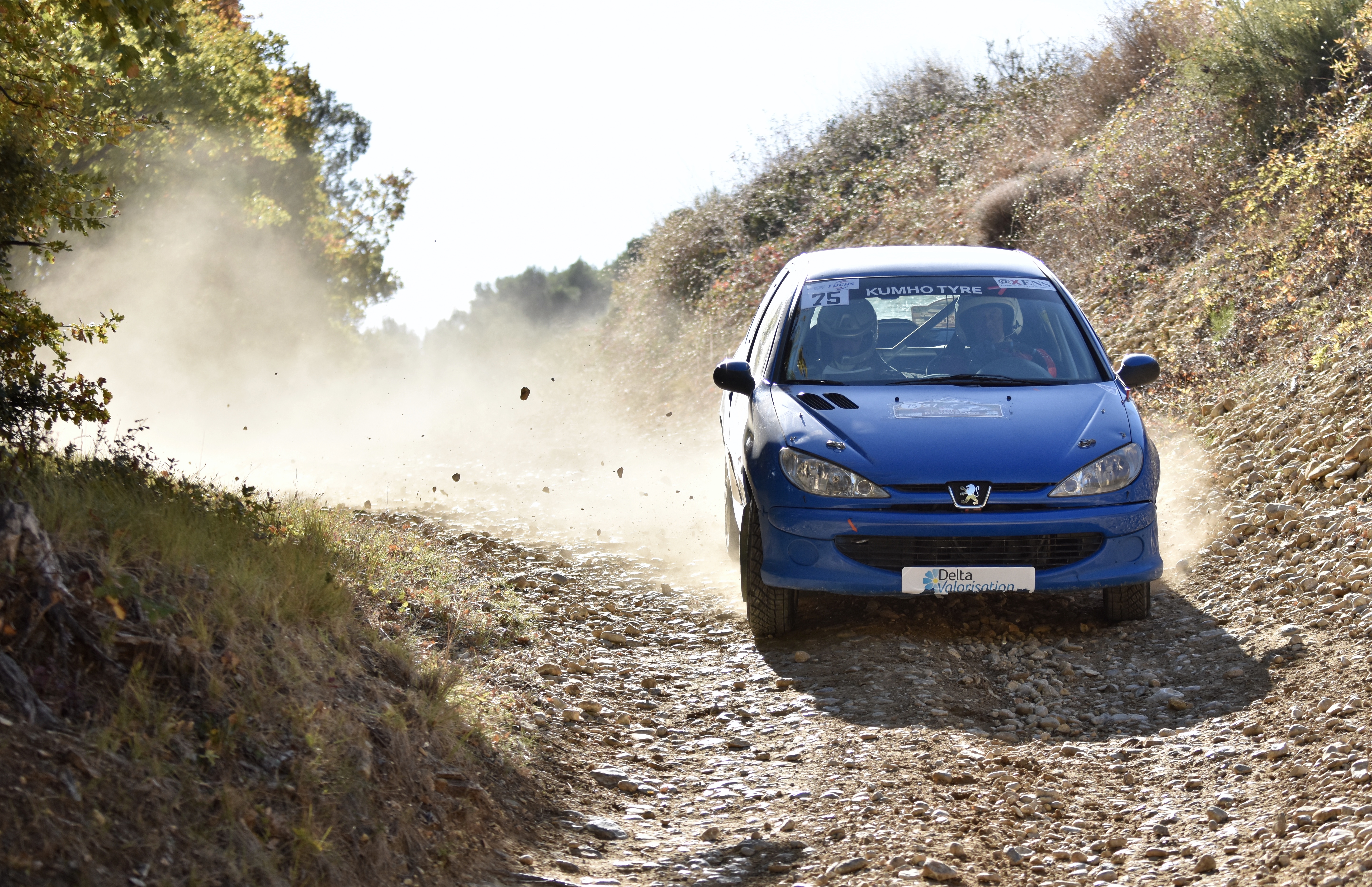 Rallye Terre de Vaucluse 2017