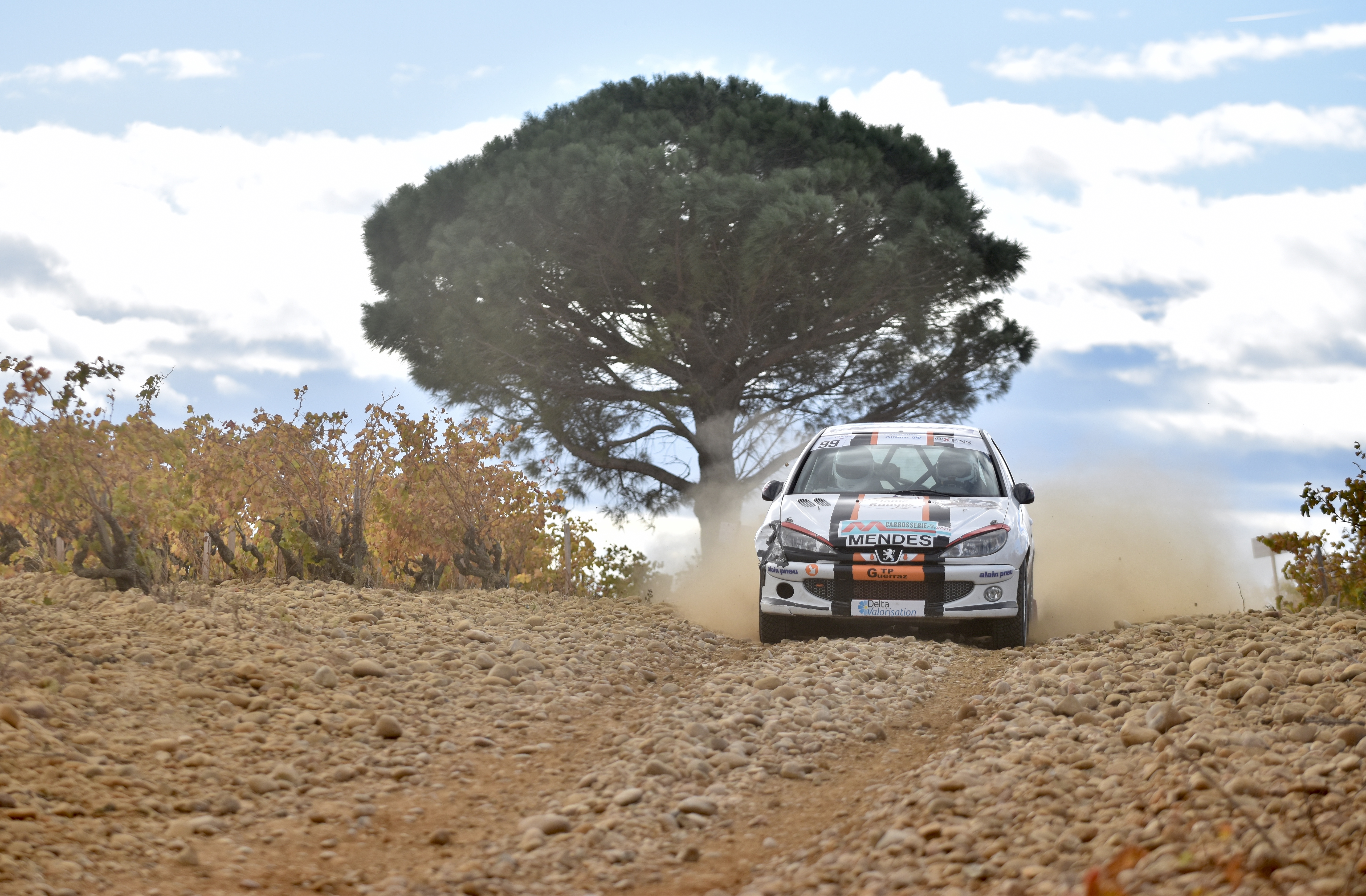 Rallye Terre de Vaucluse 2017