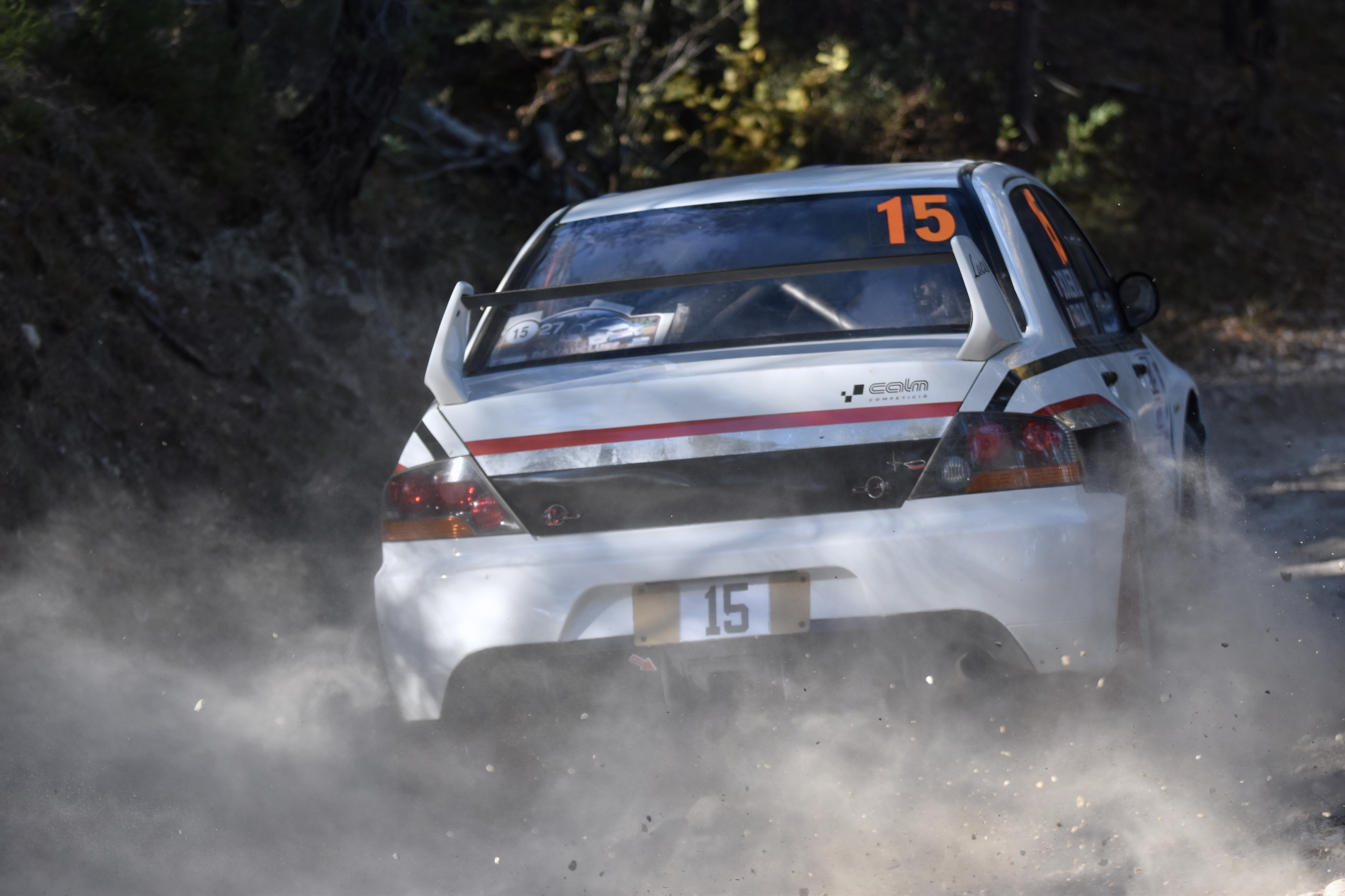 Rallye Terre de Vaucluse 2017