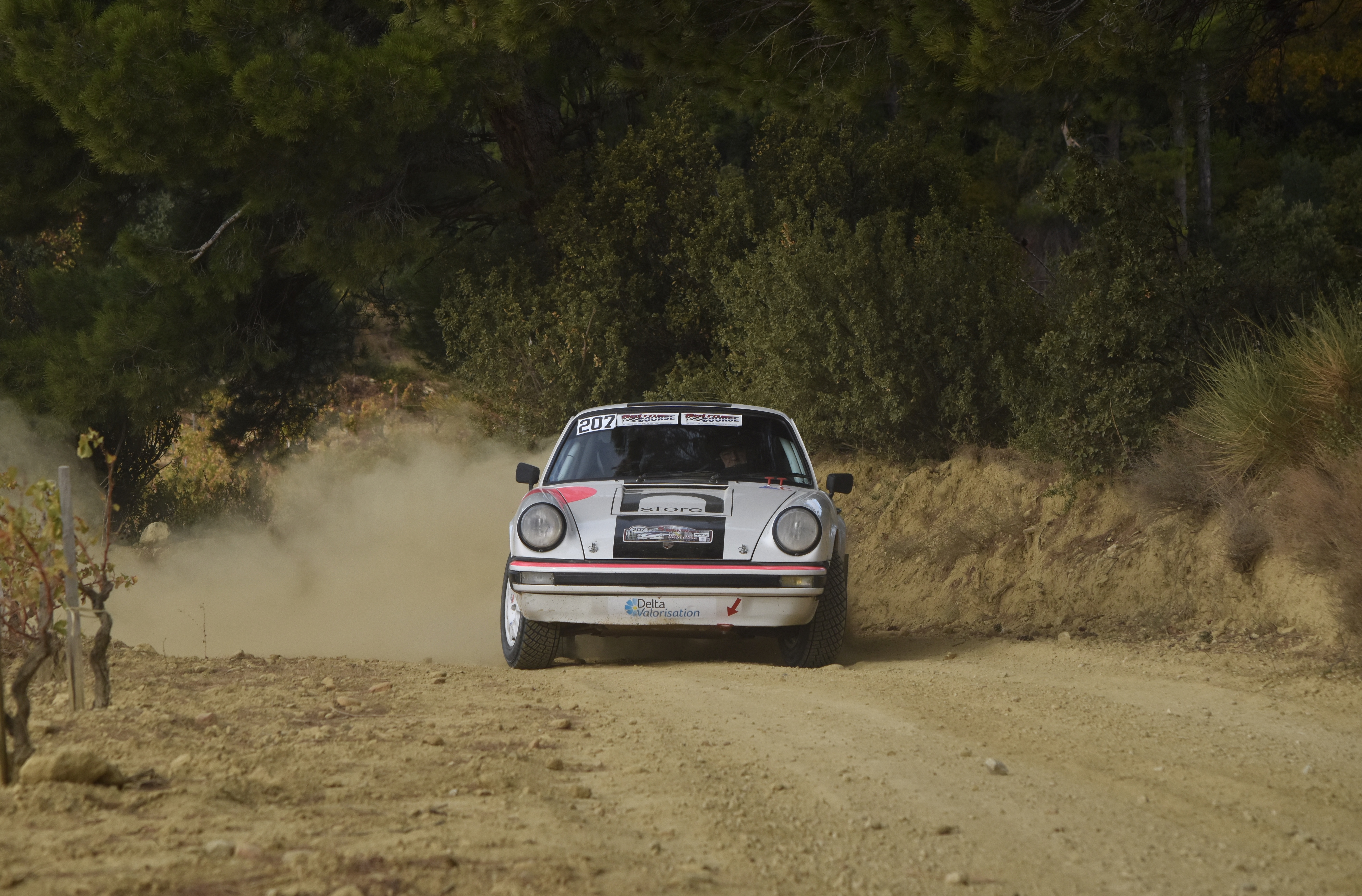 Rallye Terre de Vaucluse 2017