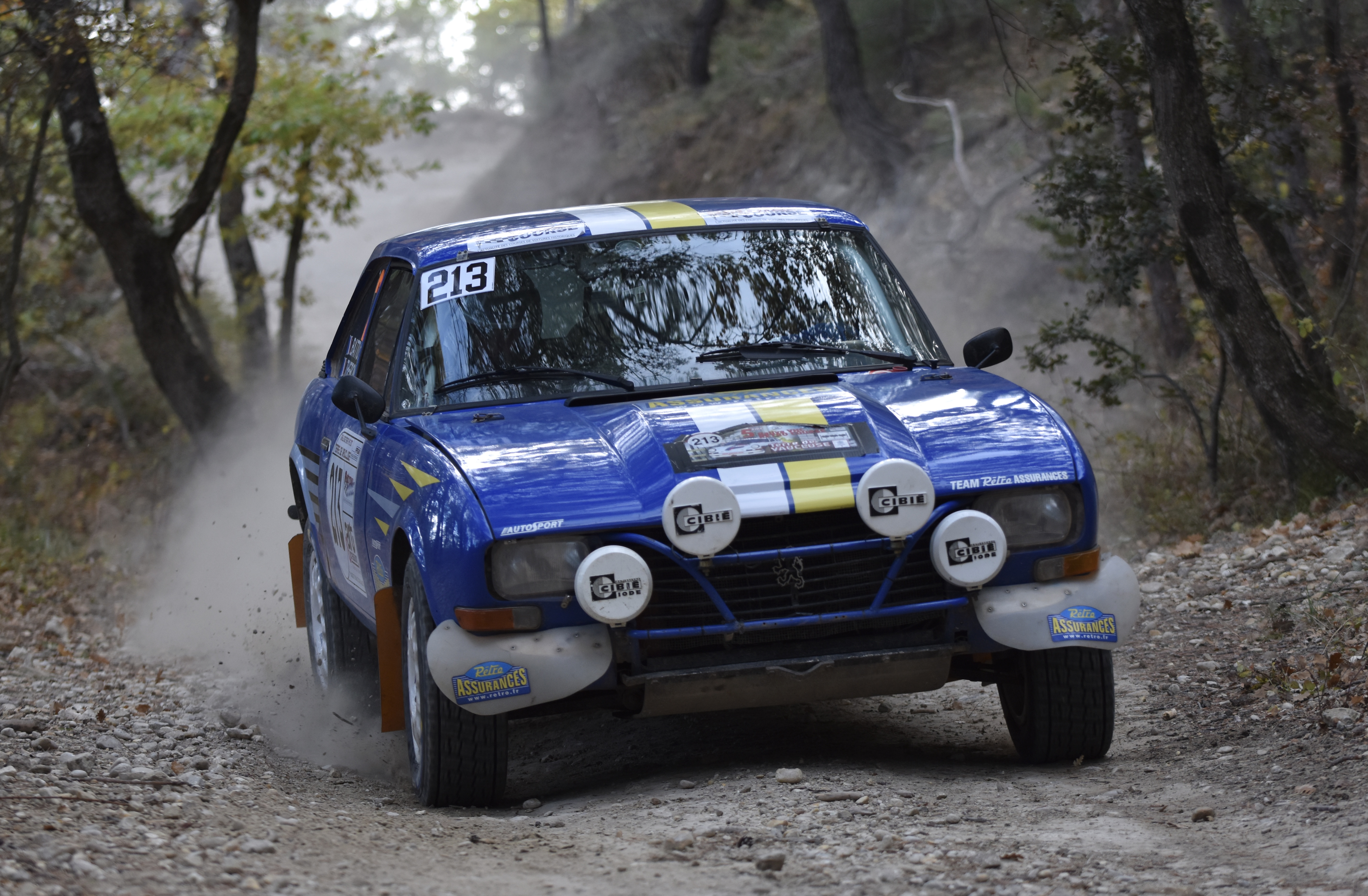 Rallye Terre de Vaucluse 2017