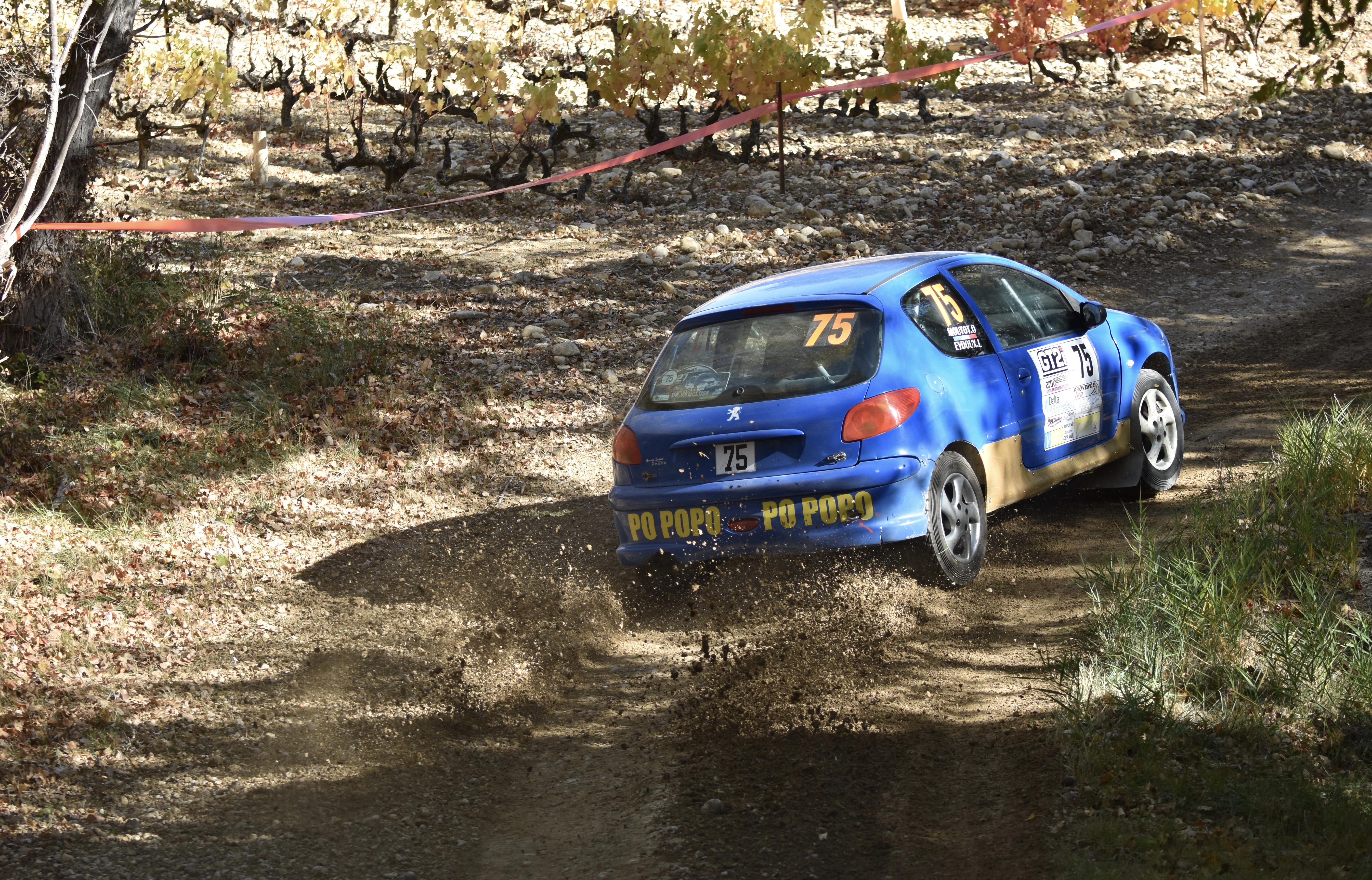 Rallye Terre de Vaucluse 2017
