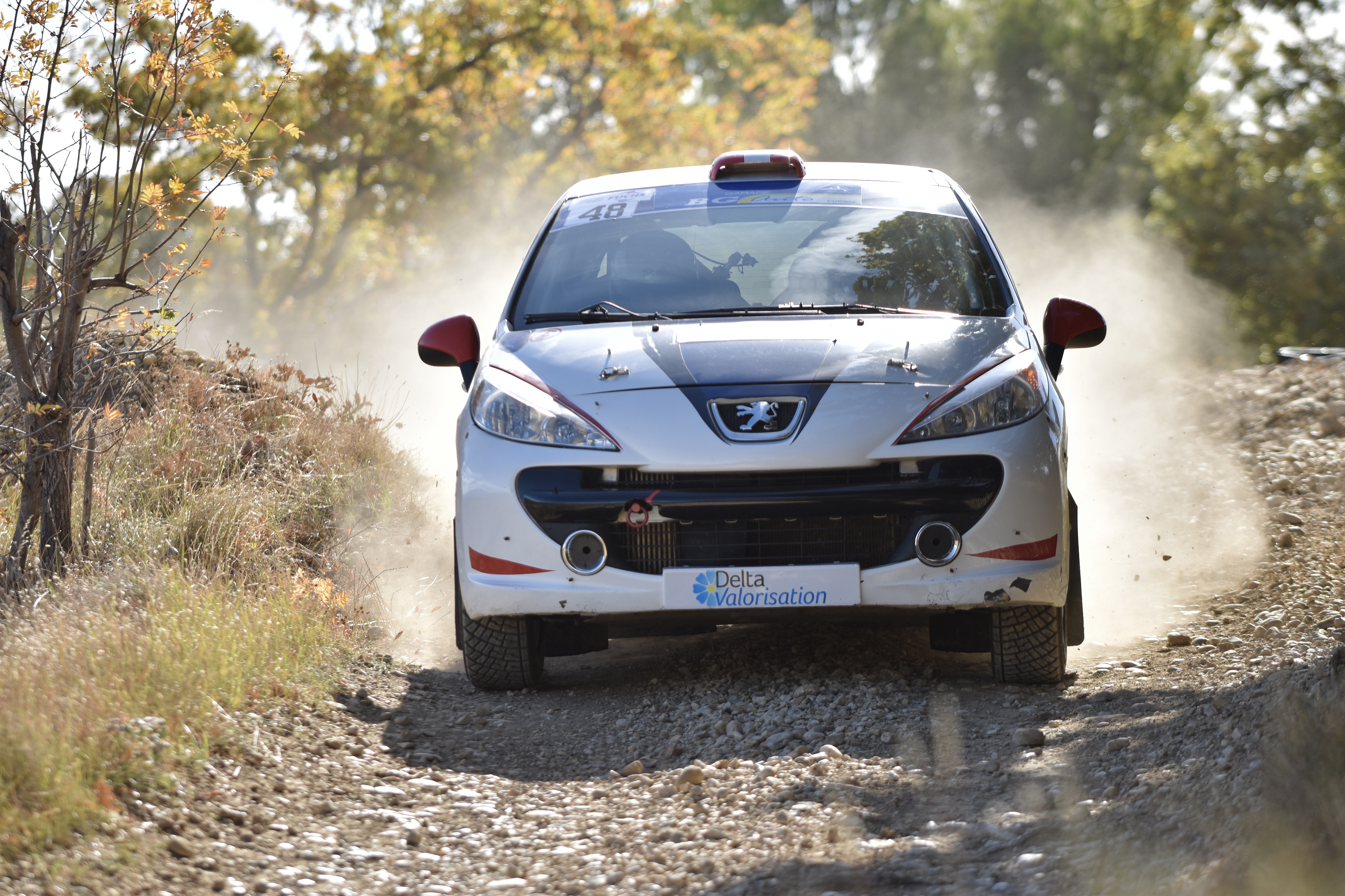 Rallye Terre de Vaucluse 2017