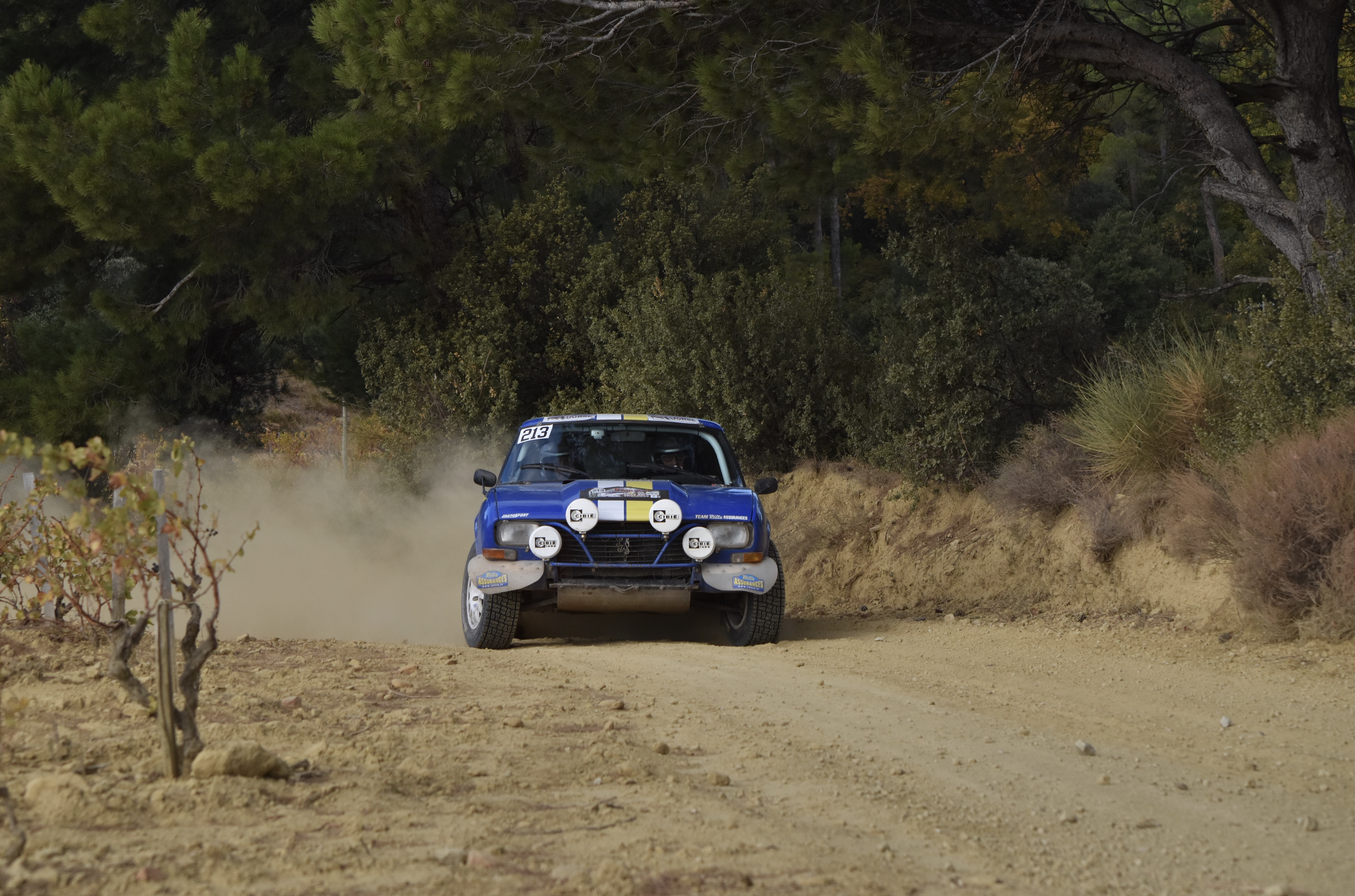 Rallye Terre de Vaucluse 2017
