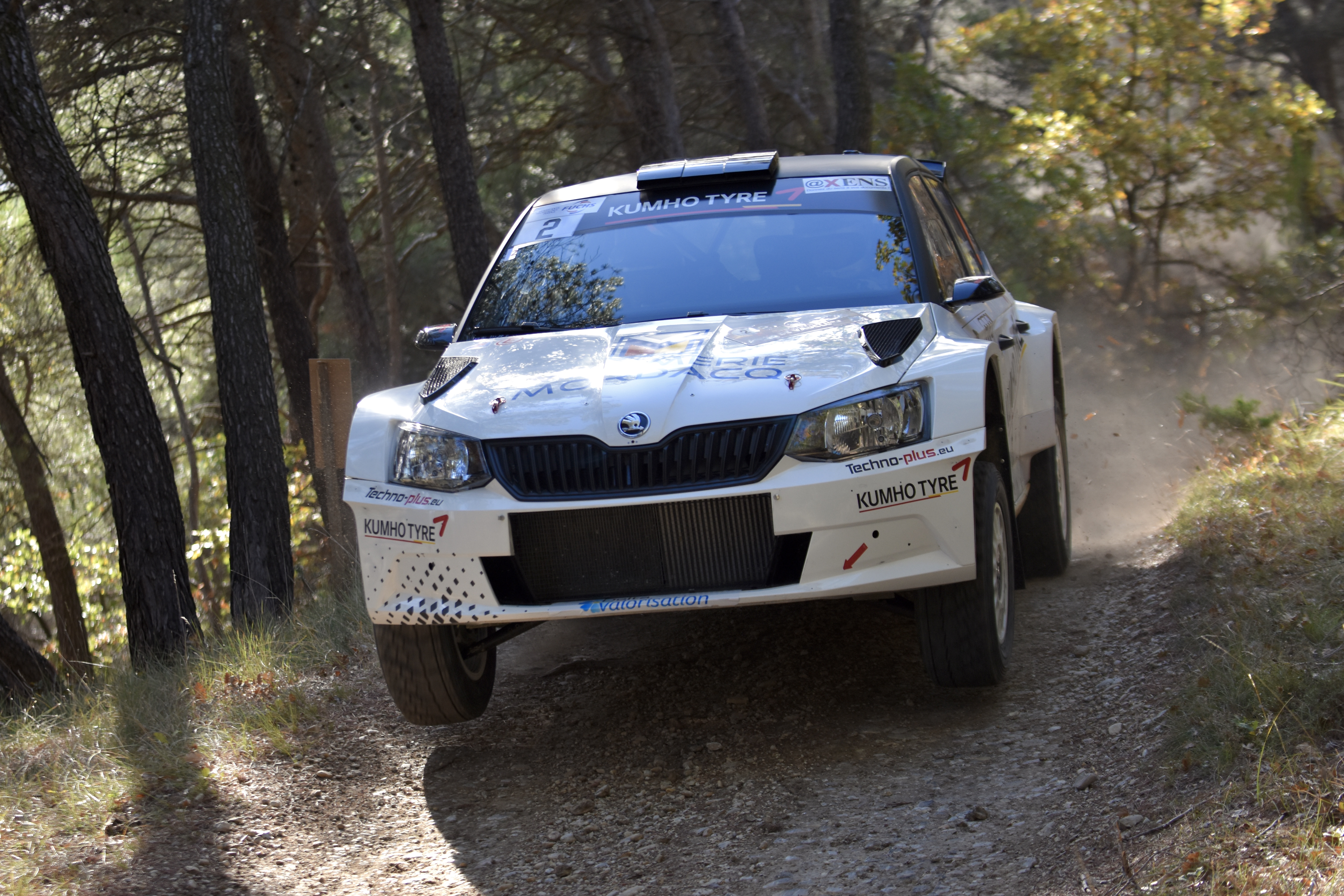 Rallye Terre de Vaucluse 2017