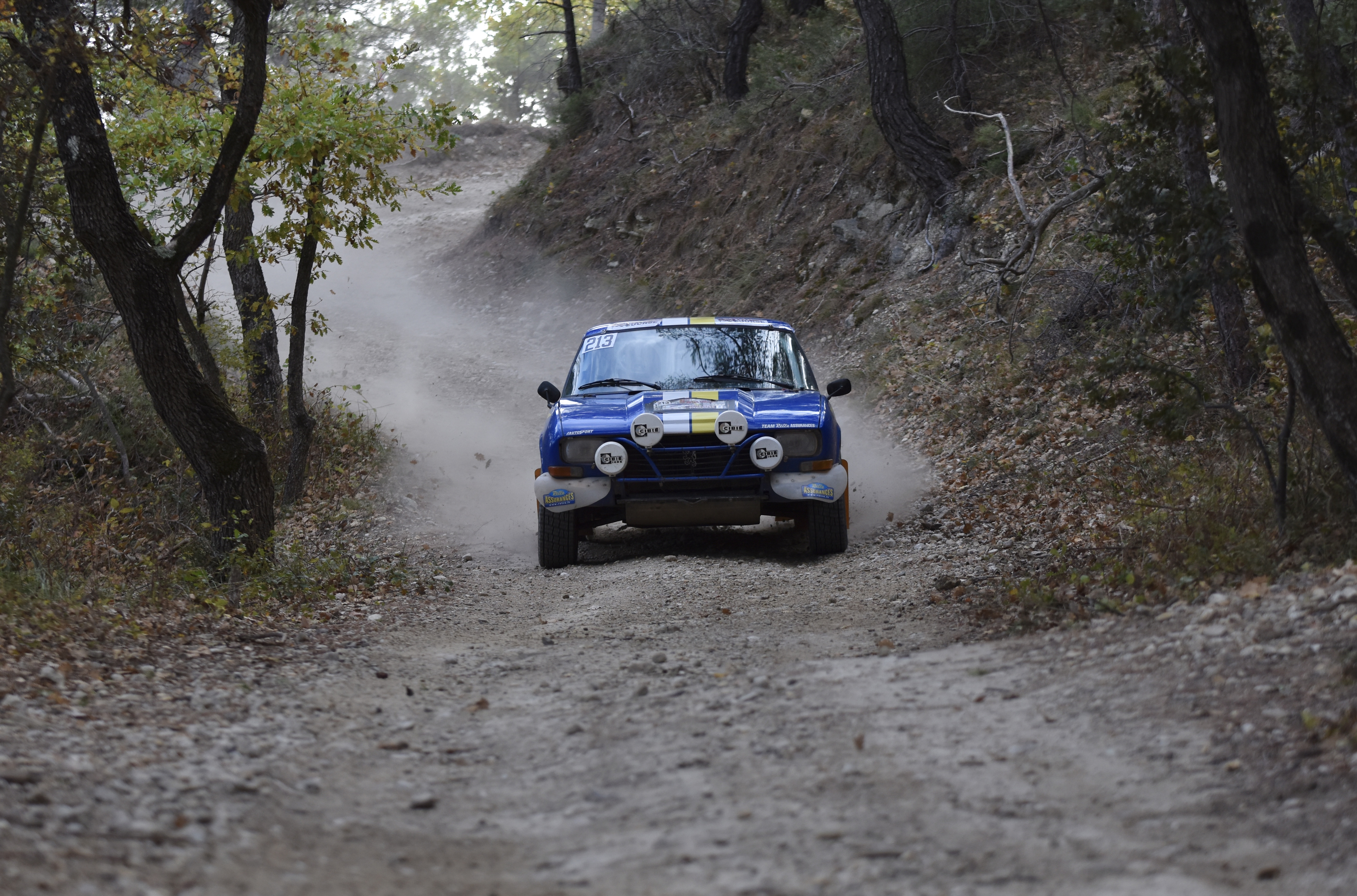 Rallye Terre de Vaucluse 2017