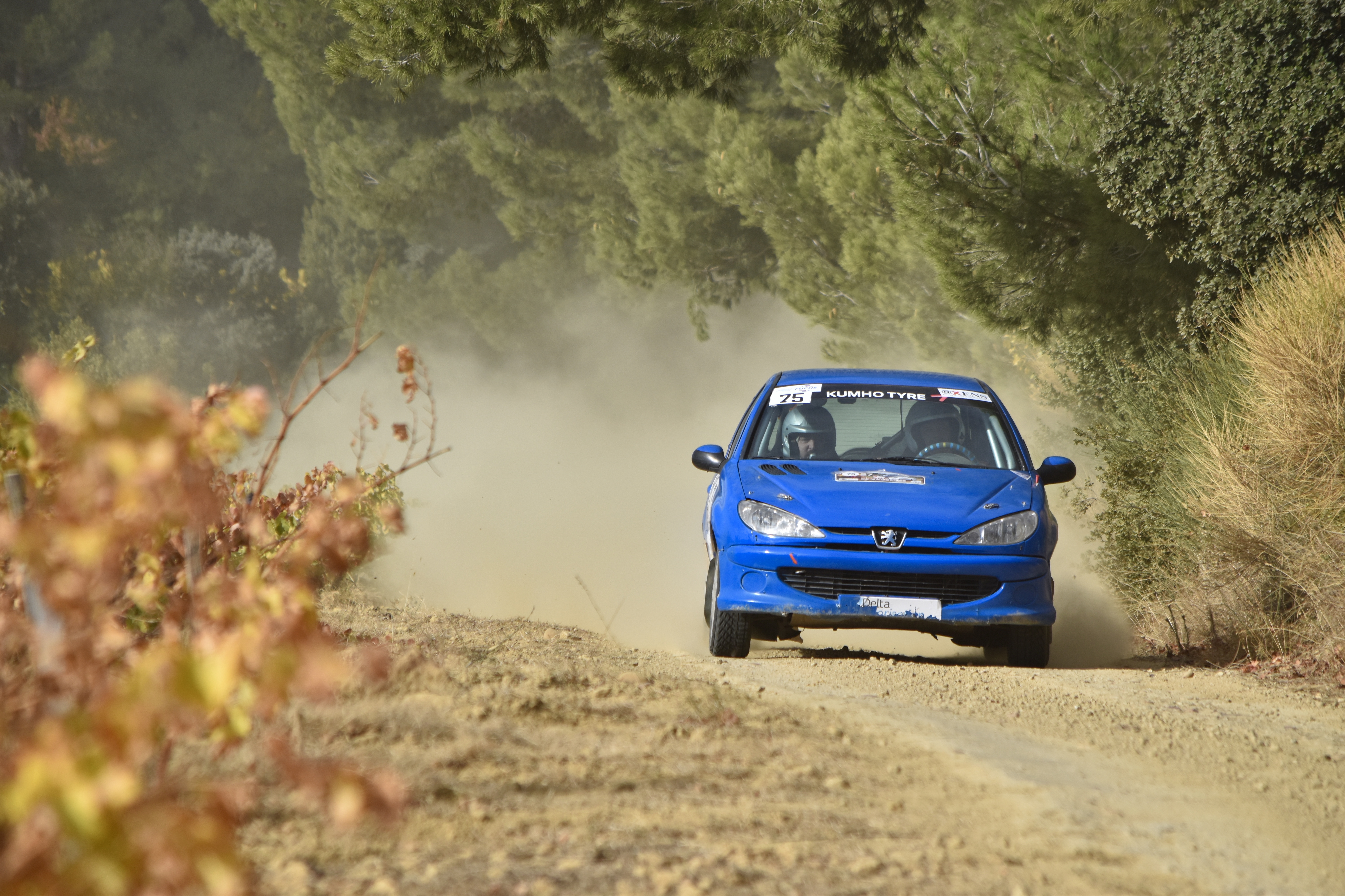Rallye Terre de Vaucluse 2017