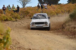 Rallye Terre de Vaucluse 2017