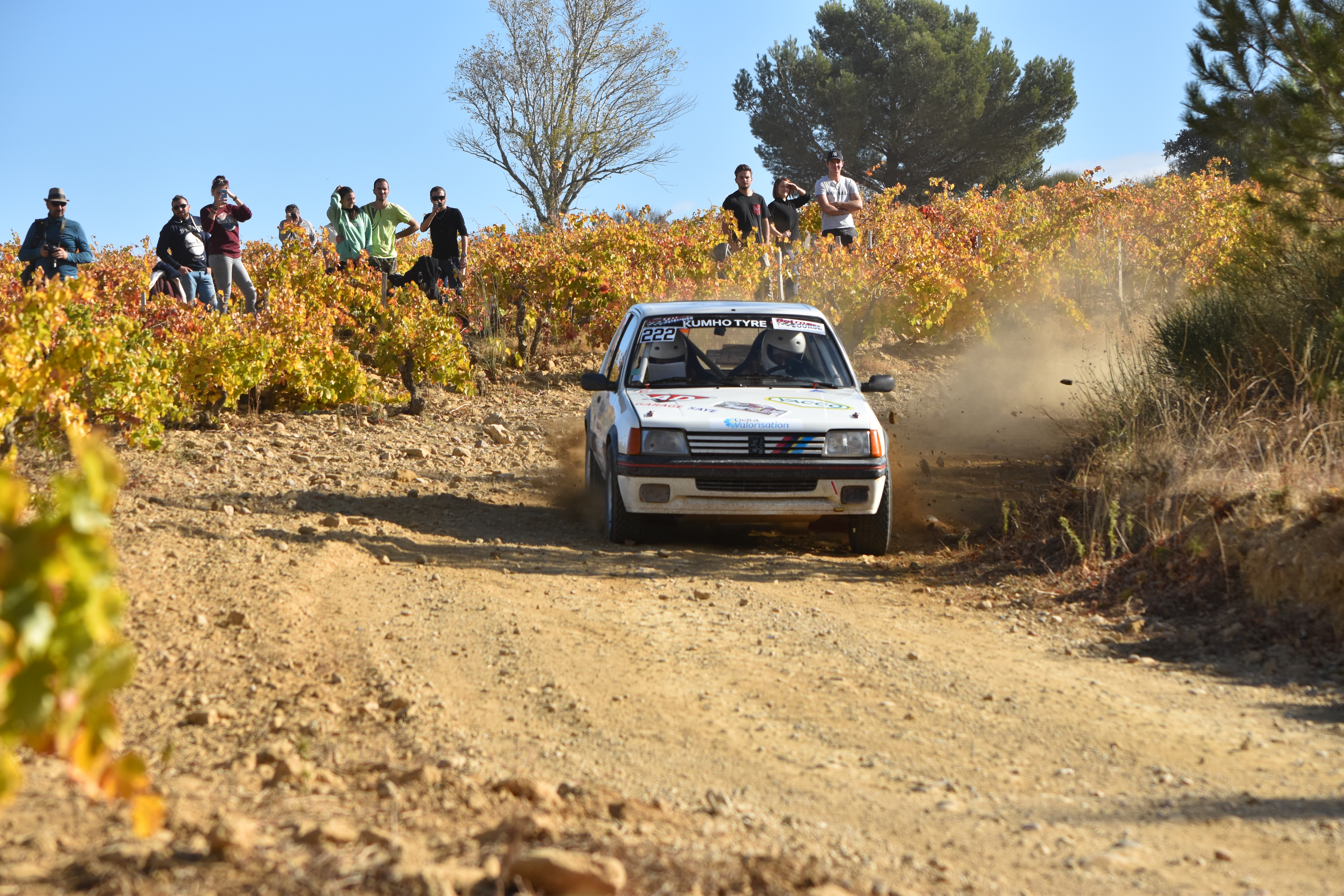 Rallye Terre de Vaucluse 2017