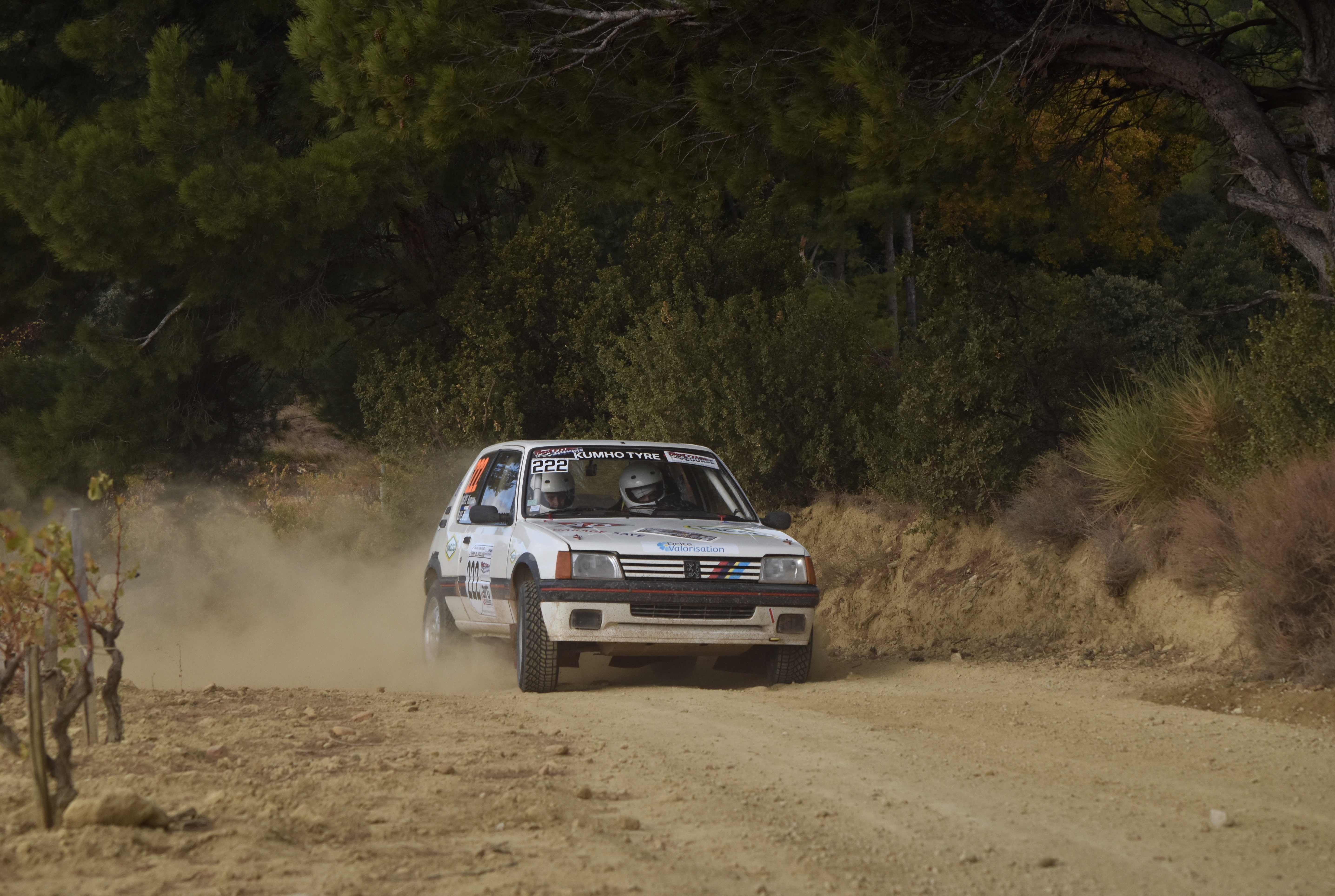 Rallye Terre de Vaucluse 2017