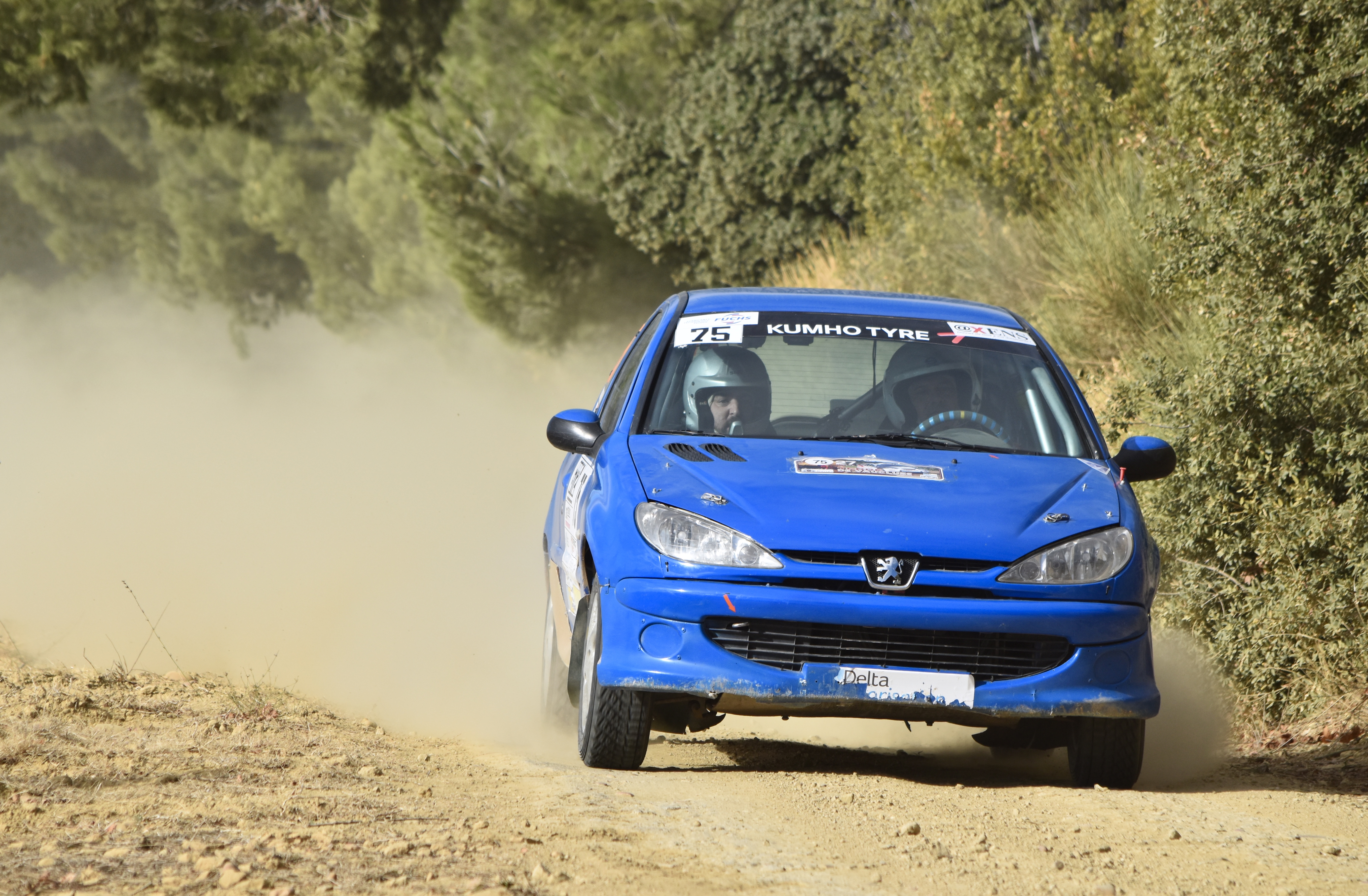 Rallye Terre de Vaucluse 2017