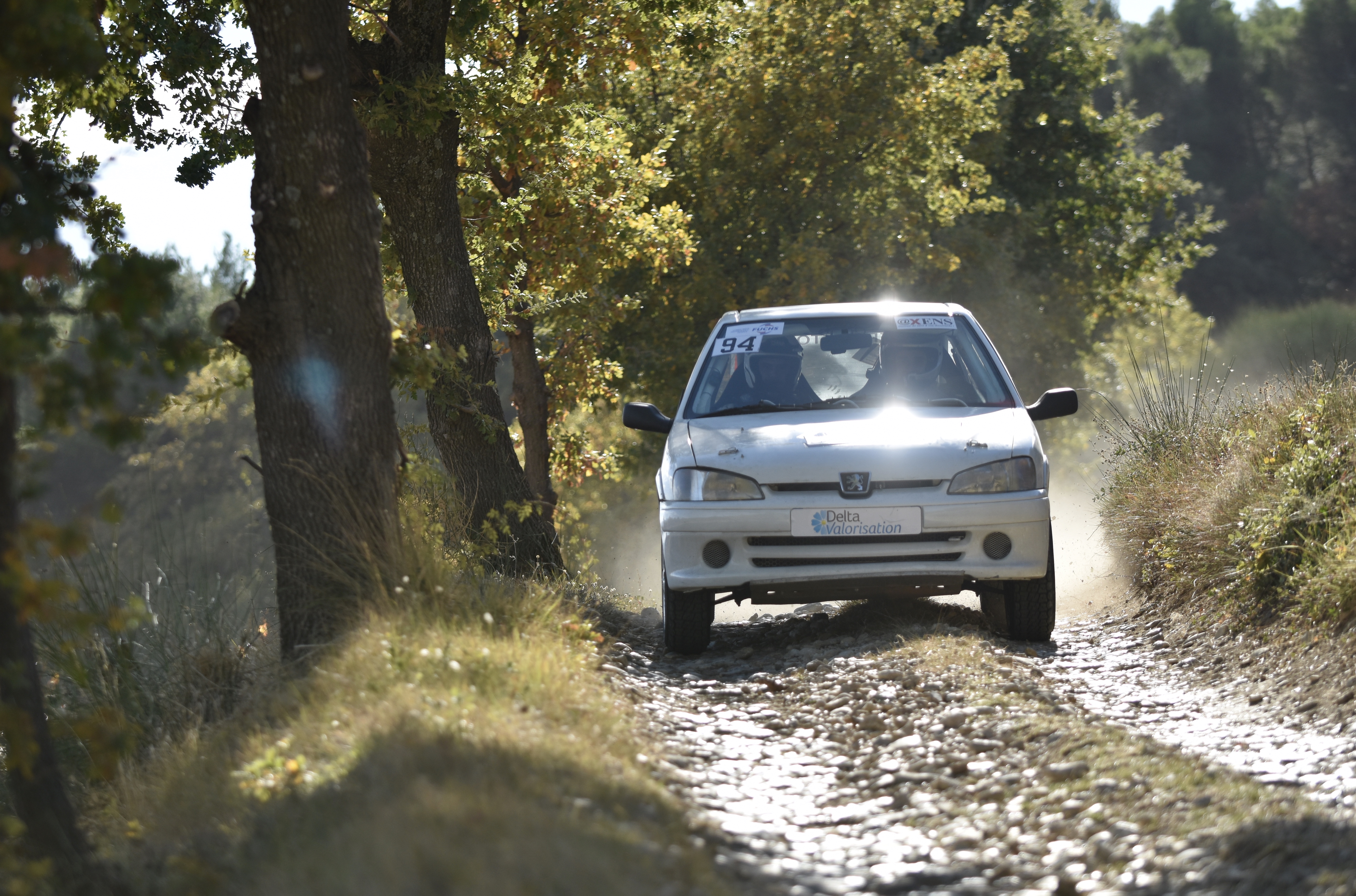 Rallye Terre de Vaucluse 2017