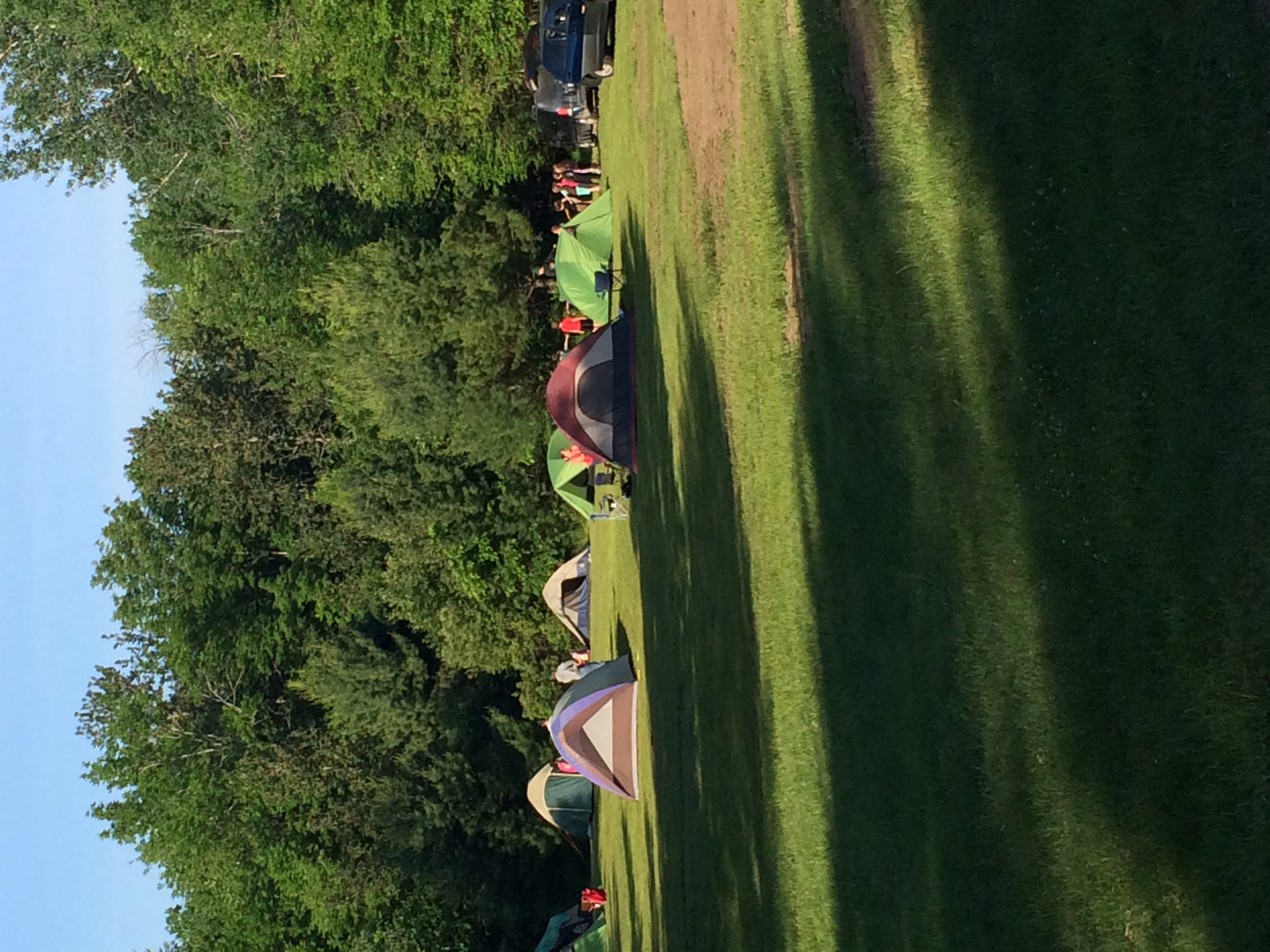 Field