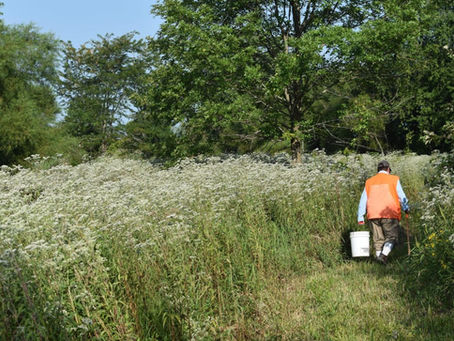 Grand Prairie Friends preserves prairies, fosters communities