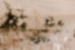 image0 (12).jpeg