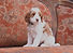 _DSC5269fixed_edited_edited.jpg