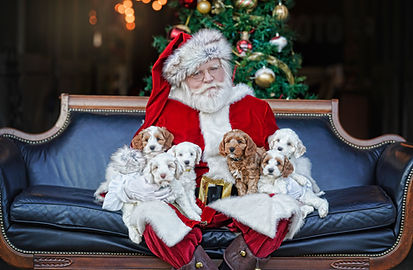 Santa with litter.jpg