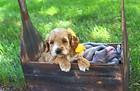 IMG_6137_edited.jpg