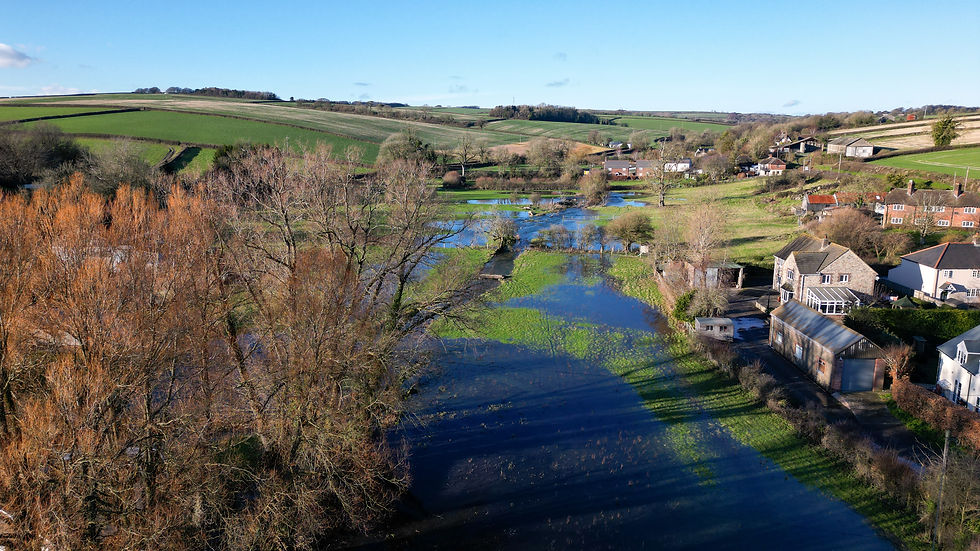 Flooded rural valley with green fields, bare trees, and houses under a clear blue sky; calm countryside scene.