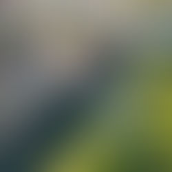 An aerial view of the River Ouse