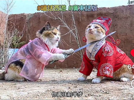AI generated China cat drama telenovelas