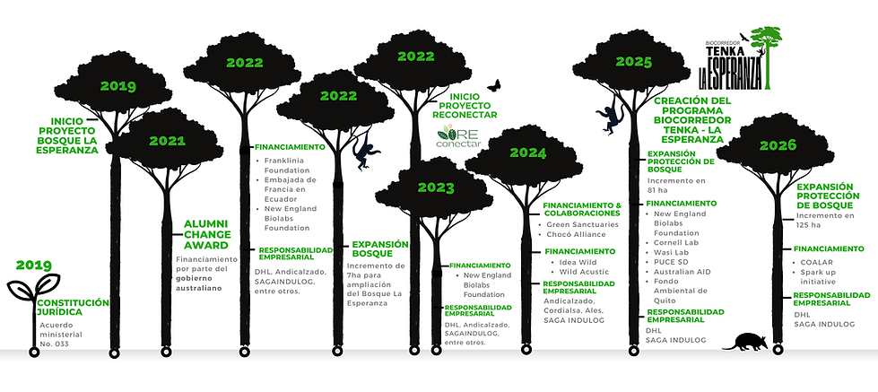 Fundación_Great_Leaf_líneatiempo.png