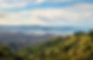 shutterstock_1574761492_edited.jpg