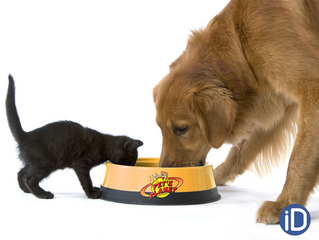 #Visualfriend: Pet's Planet Crema