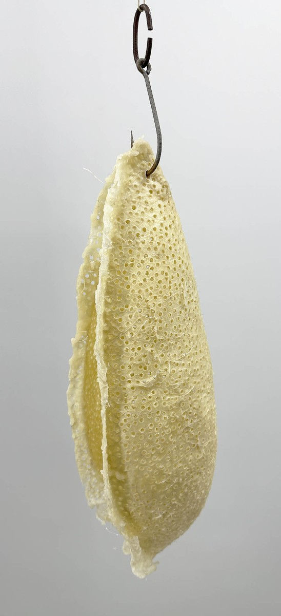 Perforated