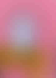 The Complexities of the Broken Mind and the Broken Vases