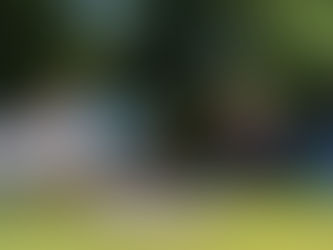 LESStival | The Little Anarchist Bookshop by Terry Hudson