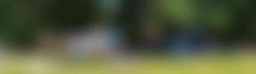 the little anarchist bookshop