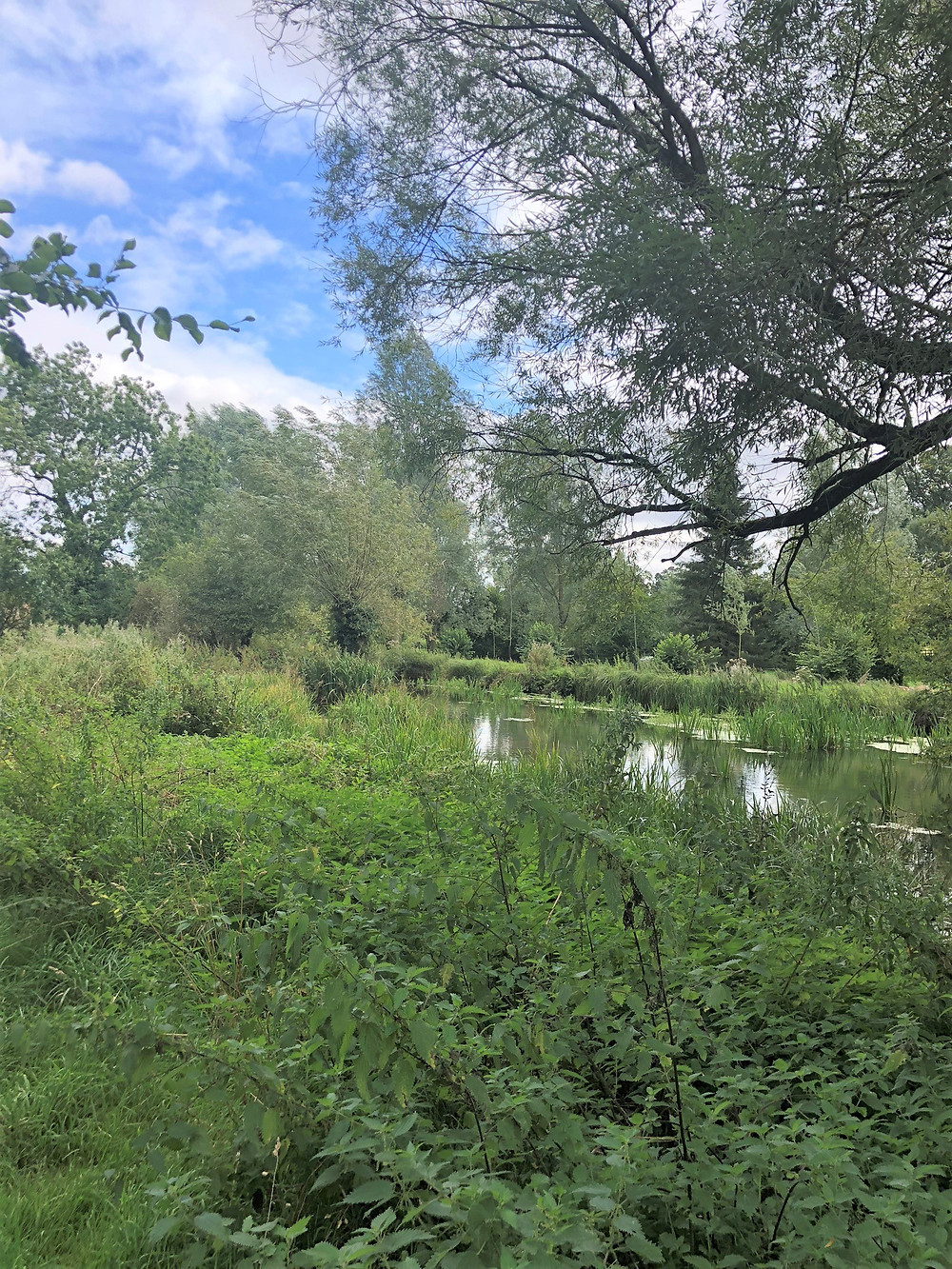 Walking along the River Eye along path the from Upper to Lower Slaughter of the Cotswolds